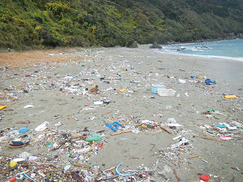 海洋プラスチックごみ問題と我が国の対策